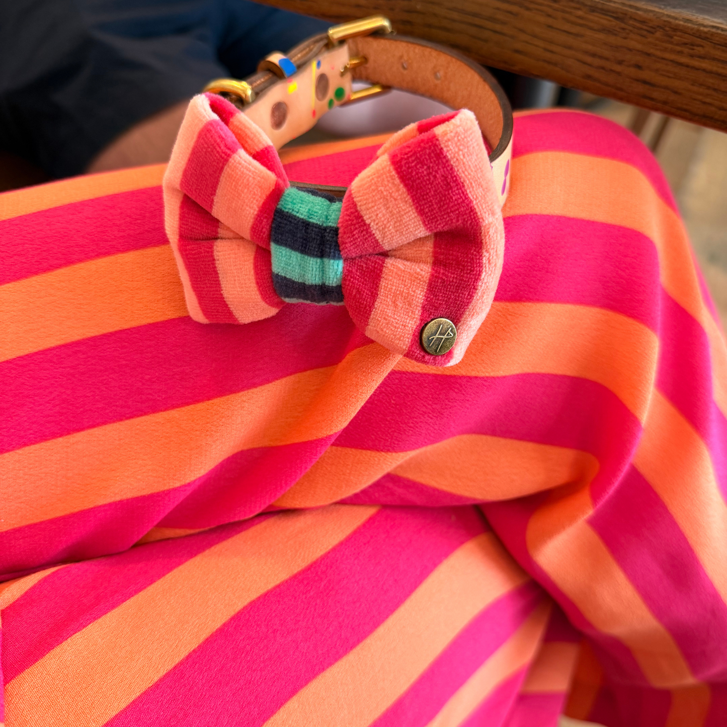 The Big Stripe Dog Bow Tie