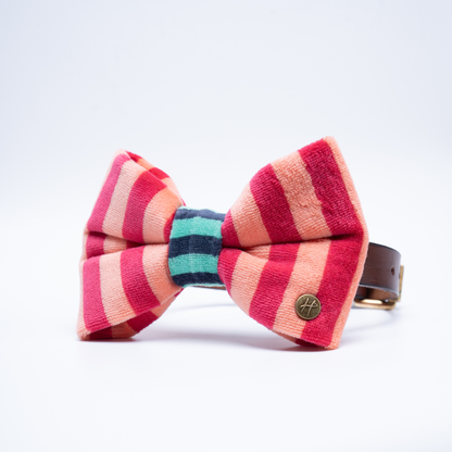 A striped bow tie made of textured fabric with alternating pink, coral, and peach vertical stripes, featuring a teal and navy striped centre band set against a clean white background.