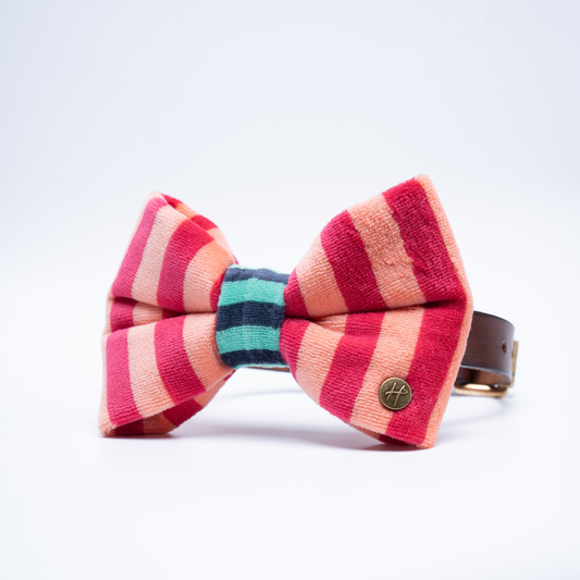 A striped bow tie made of textured fabric with alternating pink, coral, and peach vertical stripes, featuring a teal and navy striped centre band set against a clean white background.