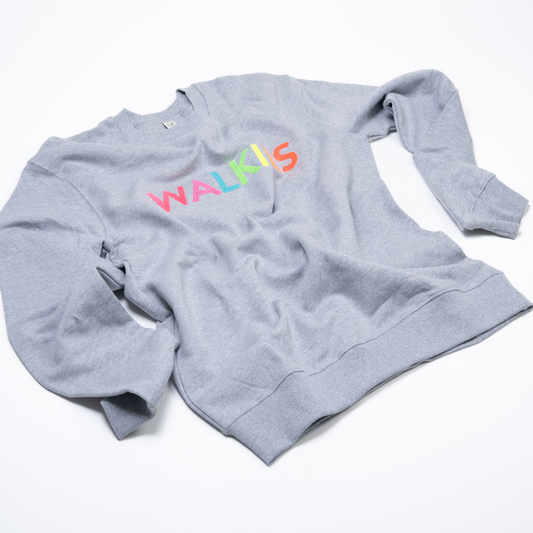 Grey WALKIES sweatshirt with neon rainbow embroidery by HIGGS